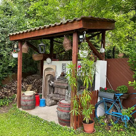 Feher Haz Homestay *